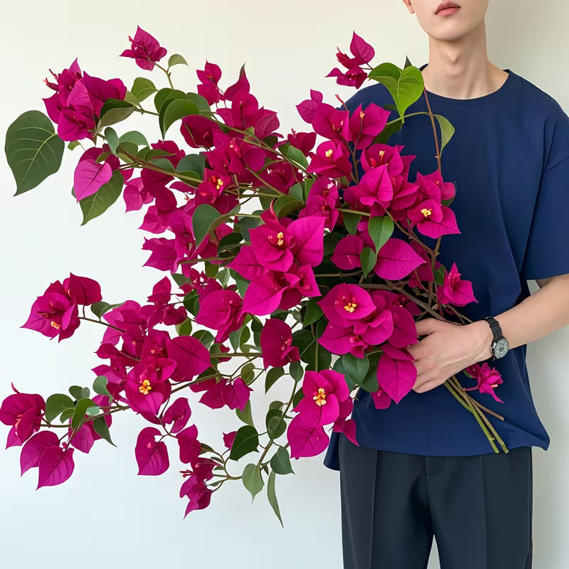 6-Piece Artificial Bougainvillea Flower Stems Set