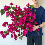 6-Piece Artificial Bougainvillea Flower Stems Set