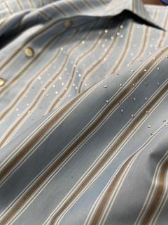 Crystal-Striped Blue Shirt